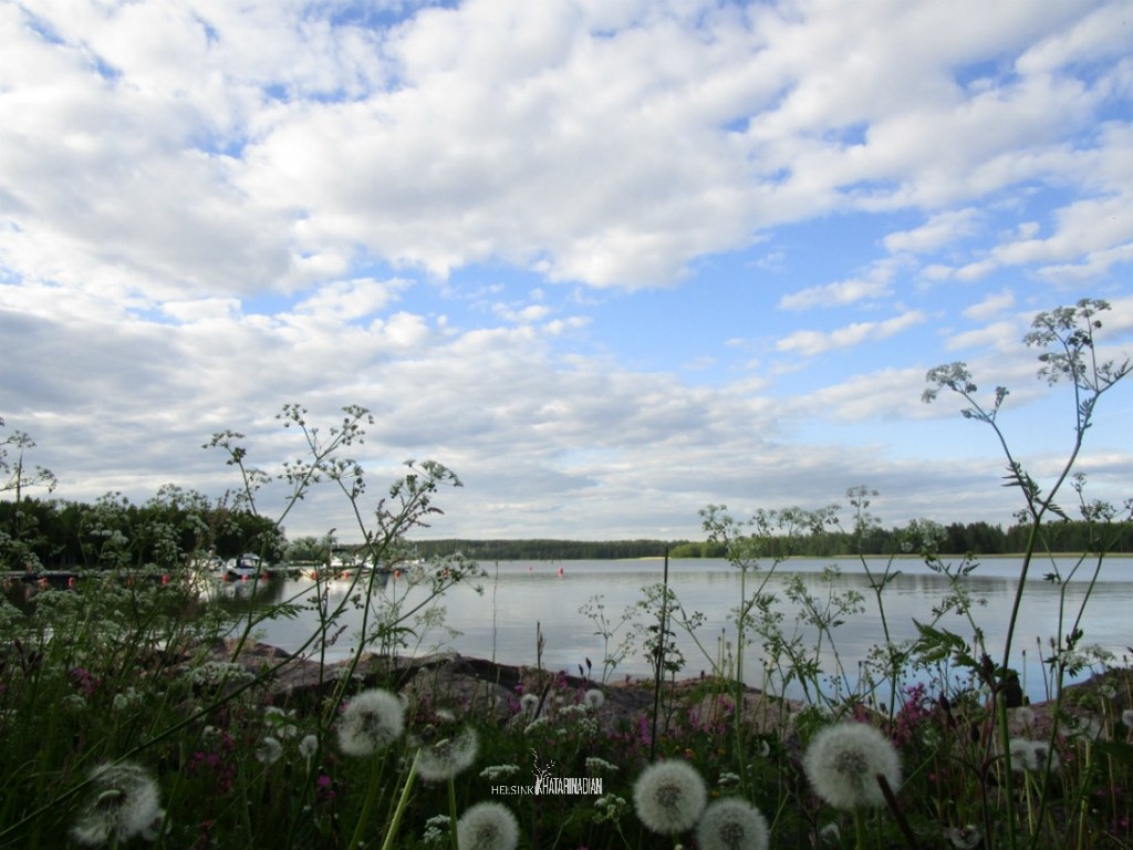 Pemandangan indah musim panas di Teluk Finlandia