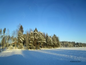 Perjalananku ke Finlandia